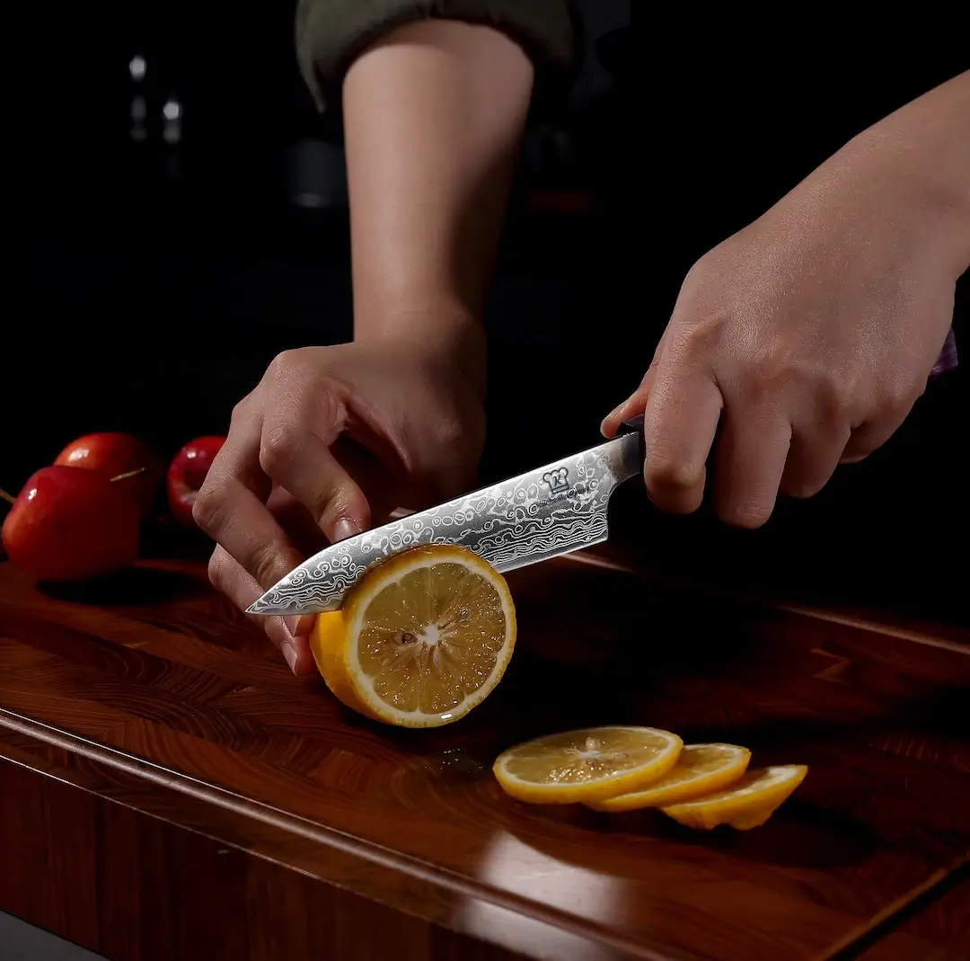 Gyuto Damastmesser Set | Limited Edition - Image 5